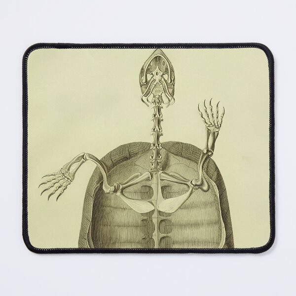 Item preview, Turtle anatomy Scientific Illustration Bojanus designed and sold by Retr0Tshirts.