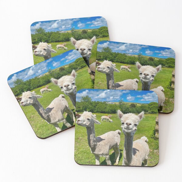 Item preview, Two Alpacas in a Grass Field – Cute Animal Photography, Friendly Farm Animals designed and sold by leonwoods.