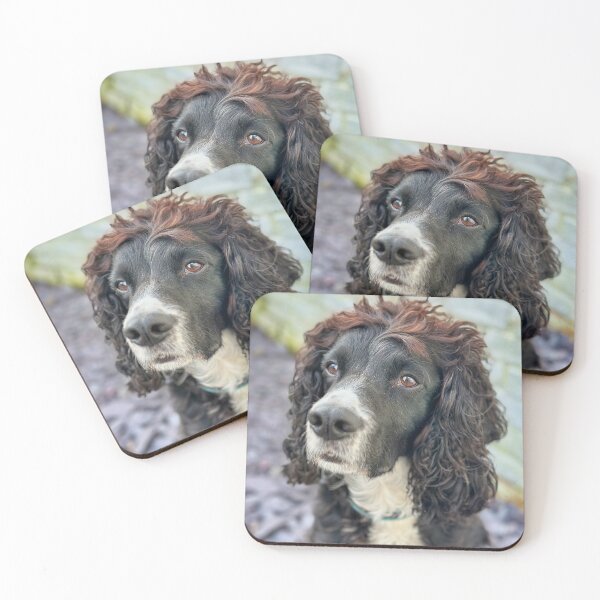 Item preview, English Black Cocker Spaniel – Dog Portrait Photography, Cute Pet Close-Up designed and sold by leonwoods.
