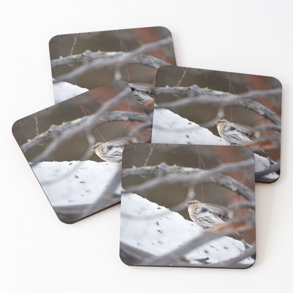Item preview, Taiga siskin (Acanthis flammea flammea) designed and sold by Andreas Koerner.
