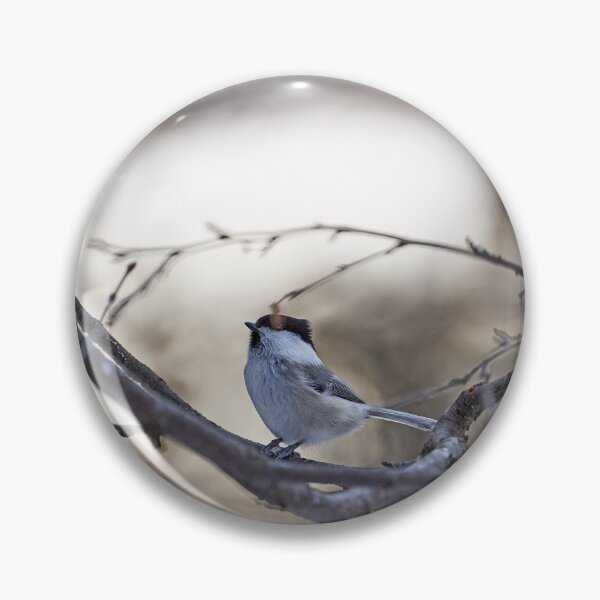 Item preview, Willow tit or monk tit (Poecile montanus, Syn.: Parus montanus), also known as dull-headed marsh tit designed and sold by Andreas Koerner.