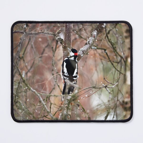 Item preview, Great spotted woodpecker (Dendrocopos major, Syn.: Picoides major) designed and sold by Andreas Koerner.