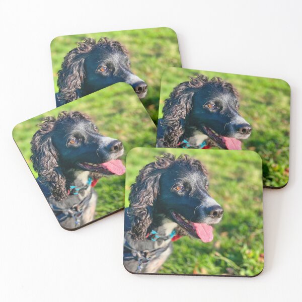 Item preview, English Cocker Spaniel – Dog Portrait Photography, Cute Pet Close-Up, UK Dog Breed designed and sold by leonwoods.
