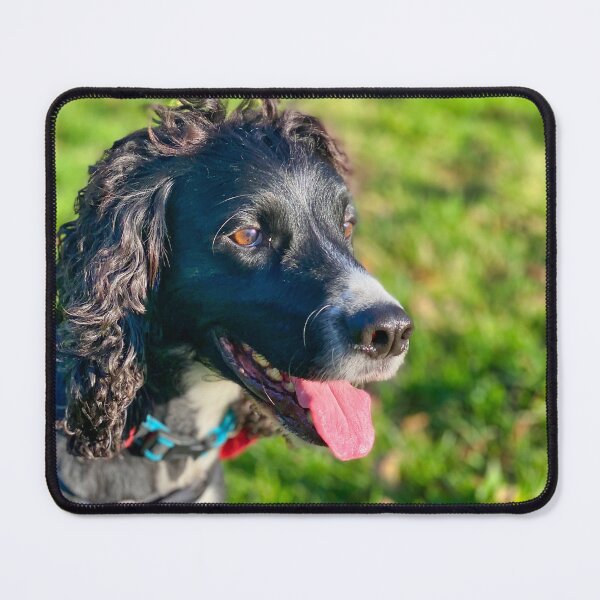 Item preview, English Cocker Spaniel – Dog Portrait Photography, Cute Pet Close-Up, UK Dog Breed designed and sold by leonwoods.