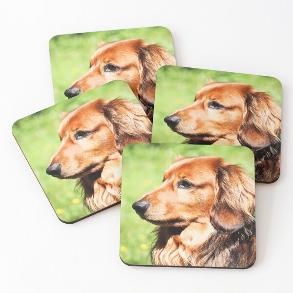 Item preview, Long-Haired Dachshund – Dog Portrait Photography, Cute Pet Close-Up, UK Breed designed and sold by leonwoods.
