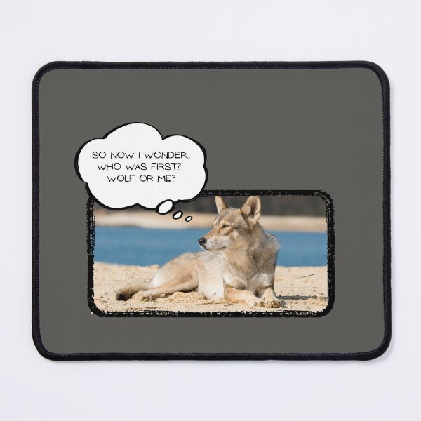 Item preview, So Now I Wonder Who Was First Wolf or Tamaskan Dog? - Nostalgic Design designed and sold by MirAgi.
