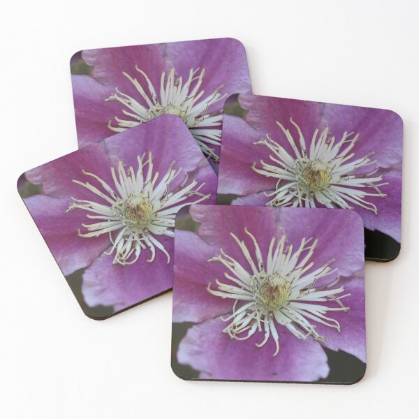 Item preview, Clematis designed and sold by BBleanncreation.