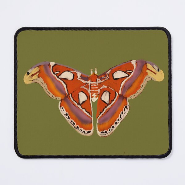 Item preview, Atalas Moth designed and sold by StudioBug.