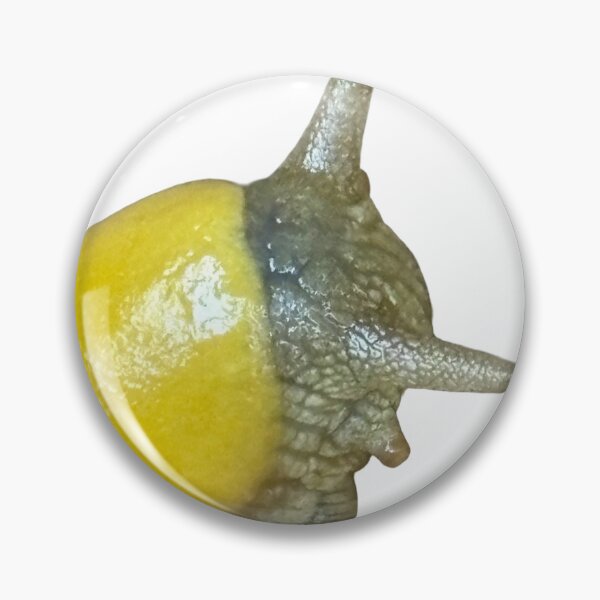 Item preview, Banana Slug designed and sold by The Banana Slug.