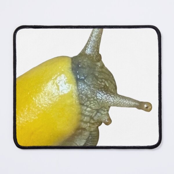 Item preview, Got Slug? designed and sold by The Banana Slug.