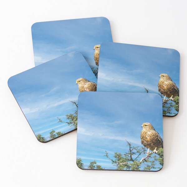 Item preview, Greater Kestrel In Botswana designed and sold by Kay Brewer.