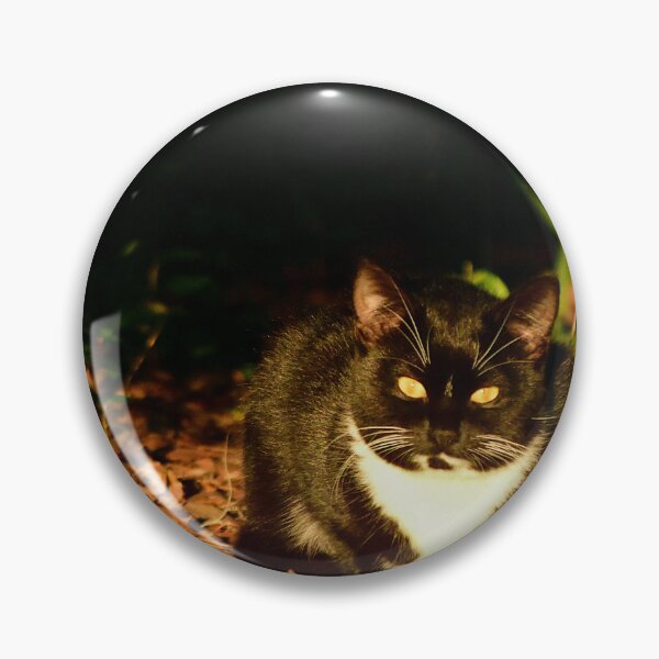 Item preview, Cat Resting in Sunlight designed and sold by MercerImages.