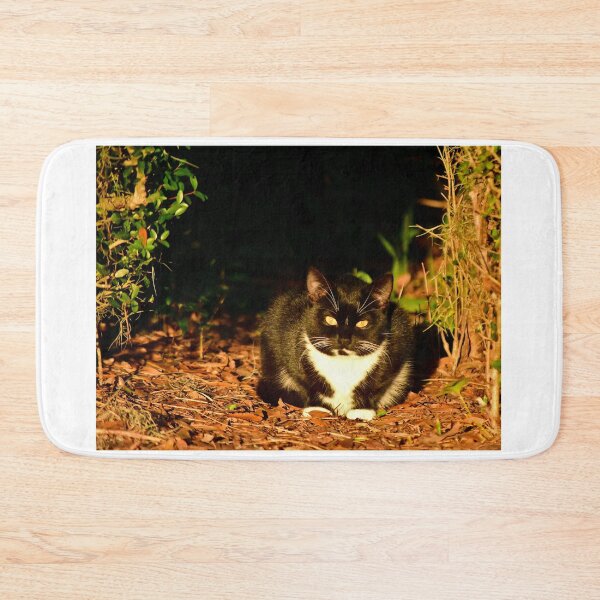Item preview, Cat Resting in Sunlight designed and sold by MercerImages.