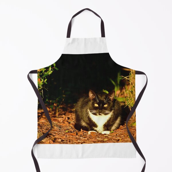 Item preview, Cat Resting in Sunlight designed and sold by MercerImages.