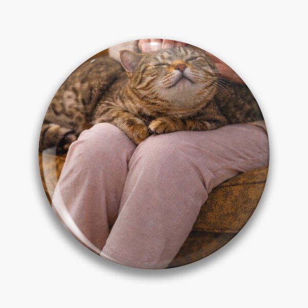 Item preview, Evening Comfort – Loved Cat on a Warm Lap designed and sold by LovelyCatGalaxy.