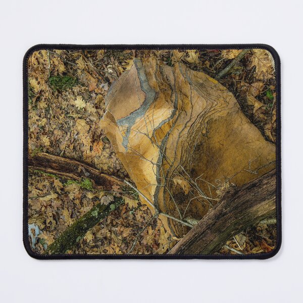 Item preview, Veined Sandstone on Forest Floor designed and sold by aadventures.