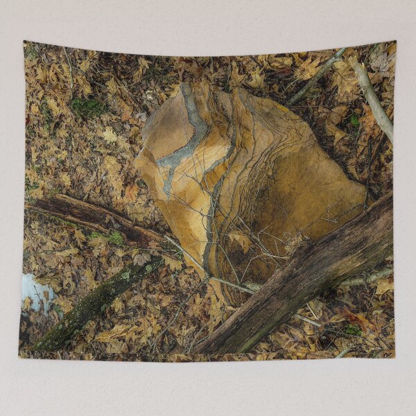 Item preview, Veined Sandstone on Forest Floor designed and sold by aadventures.