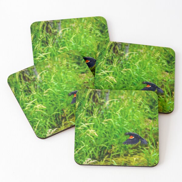 Item preview, Red-Winged Blackbird in Flight Over Green Marsh designed and sold by aadventures.