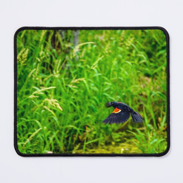 Item preview, Red-Winged Blackbird in Flight Over Green Marsh designed and sold by aadventures.