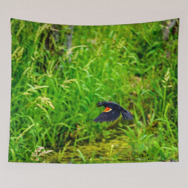 Item preview, Red-Winged Blackbird in Flight Over Green Marsh designed and sold by aadventures.