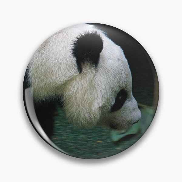 Item preview, Tian Tian designed and sold by tomg.