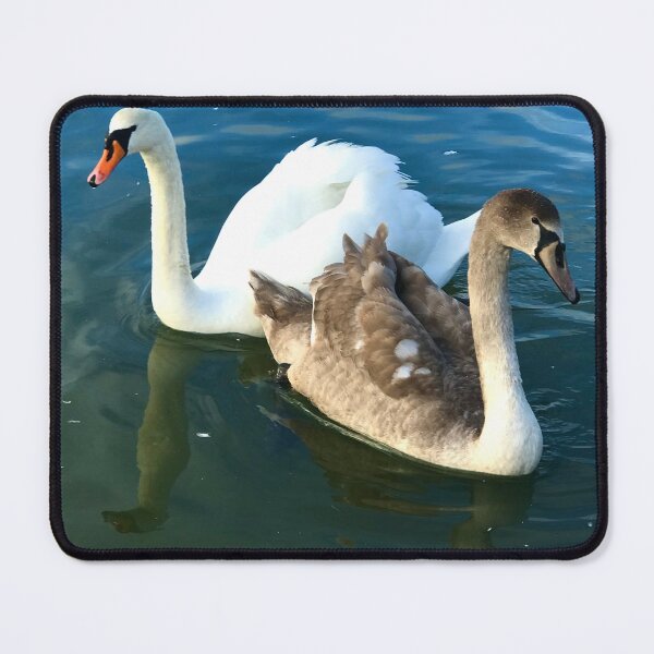 Item preview, Swan life. Cygnet with parent  designed and sold by Ribster13.