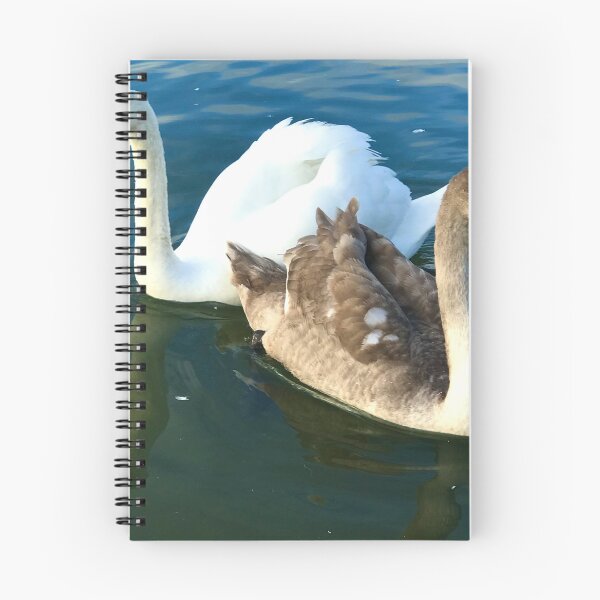 Item preview, Swan life. Cygnet with parent  designed and sold by Ribster13.