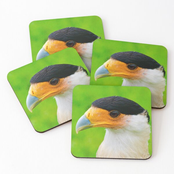 Item preview, Crested Caracara designed and sold by Stephen Baird Photos.