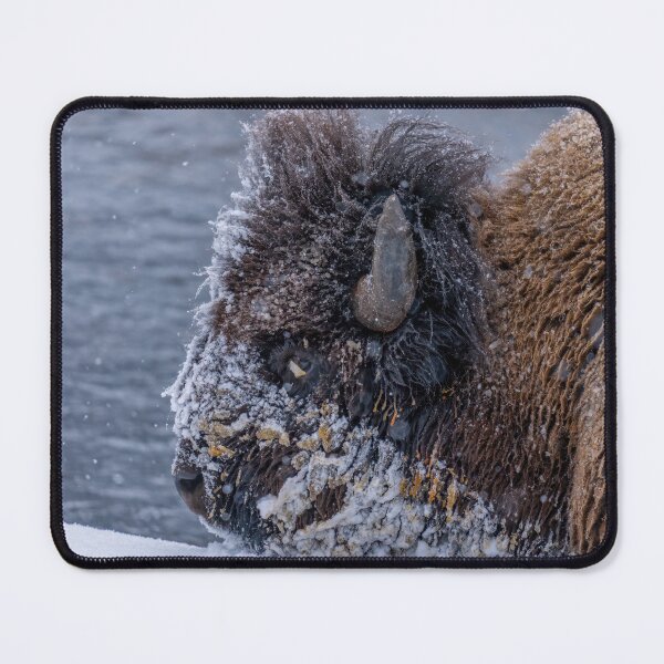 Item preview, Bison with Snowy Face designed and sold by SafariByMarisa.