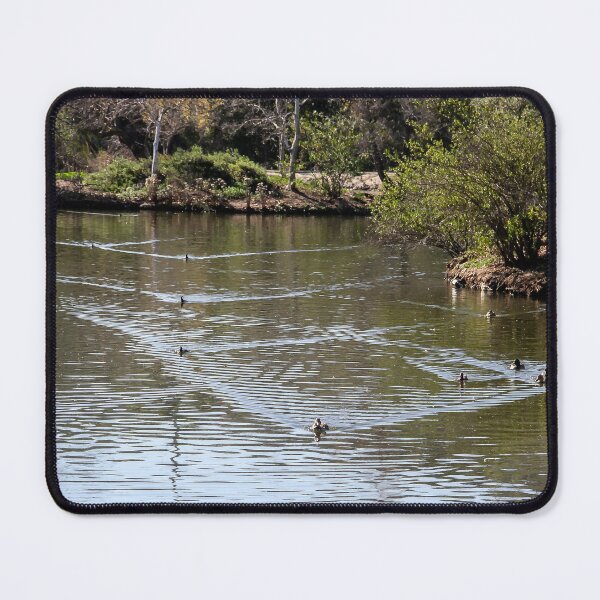 Item preview, Swimming to Shore designed and sold by heatherfriedman.