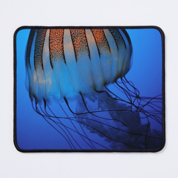 Item preview, Lone Jellyfish designed and sold by Kerri Ann McClellan.