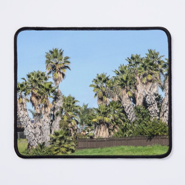 Item preview, California Fan Palms designed and sold by heatherfriedman.
