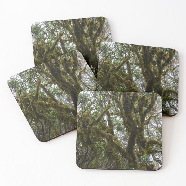 Item preview, Laurisilva forest with twisted mossy trees designed and sold by Imagerisium.