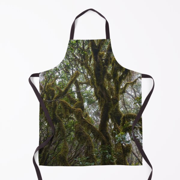 Item preview, Laurisilva forest with twisted mossy trees designed and sold by Imagerisium.