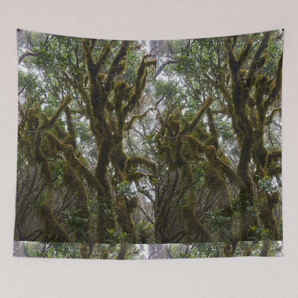 Item preview, Laurisilva forest with twisted mossy trees designed and sold by Imagerisium.