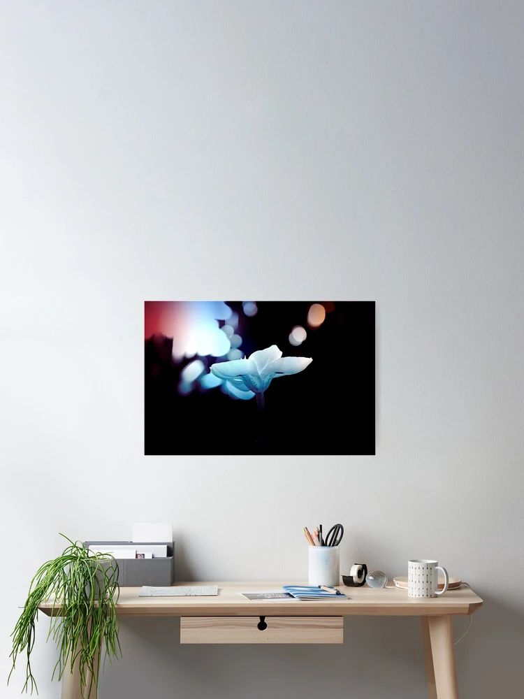 Thumbnail 2 of 3, Poster, Remember designed and sold by equilibrio.