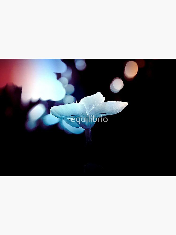 Thumbnail 3 of 3, Poster, Remember designed and sold by equilibrio.