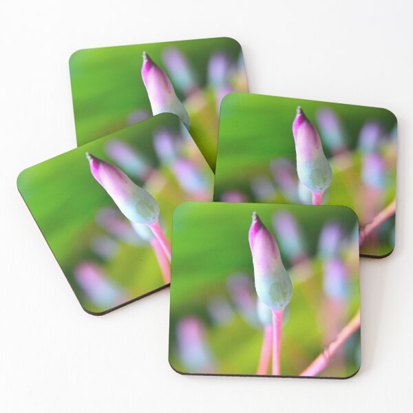Item preview, Path of Healing  designed and sold by equilibrio.