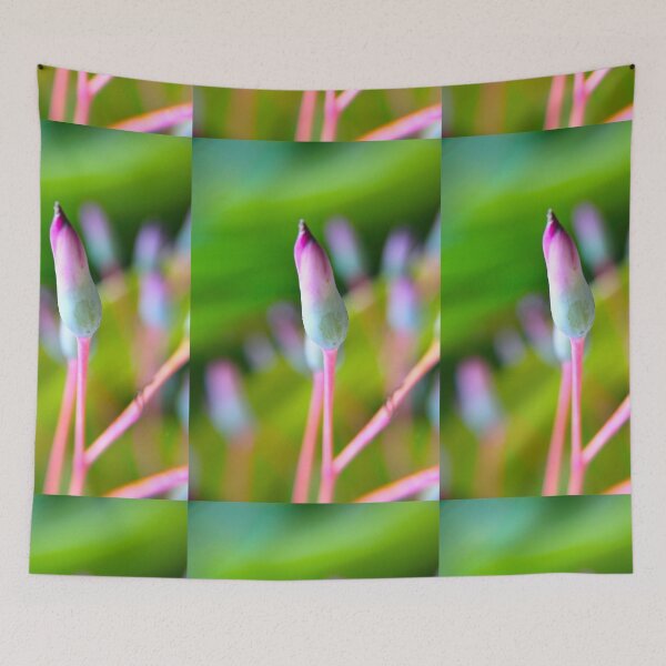 Item preview, Path of Healing  designed and sold by equilibrio.