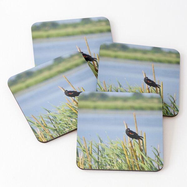 Item preview, Red-Winged Blackbird at the Marsh designed and sold by aadventures.