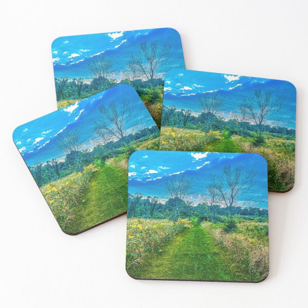 Item preview, Steinke Basin Path, Devils Lake designed and sold by aadventures.
