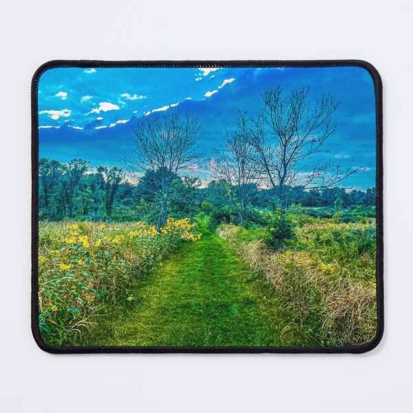 Item preview, Steinke Basin Path, Devils Lake designed and sold by aadventures.