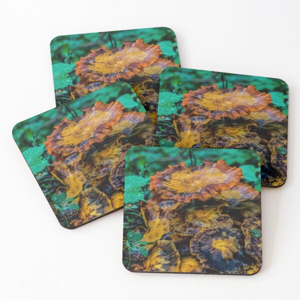 Item preview, Woodland Fungi – Forest Mushroom Photography designed and sold by aadventures.