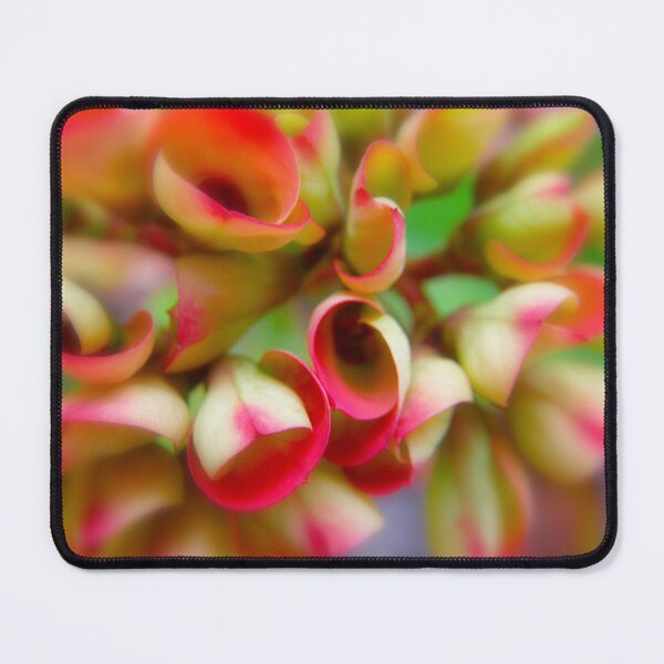 Item preview, Happiness designed and sold by equilibrio.
