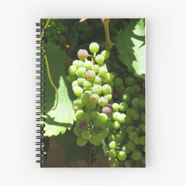 Item preview, Grapes on a grapevine designed and sold by greentiger1.
