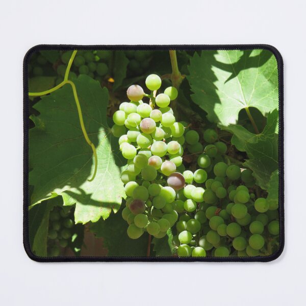 Item preview, Grapes on a grapevine designed and sold by greentiger1.