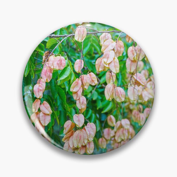 Artikelvorschau, Rosa entworfen und verkauft von BooCarter.