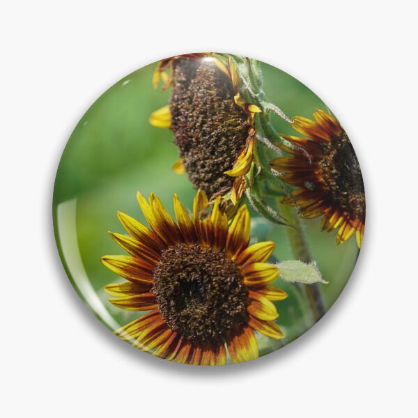 Artikelvorschau, Sonnenblume entworfen und verkauft von BooCarter.