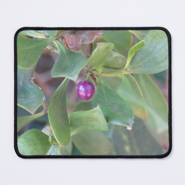 Item preview, Little purple berry designed and sold by greentiger1.