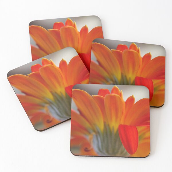 Item preview, Florencia designed and sold by equilibrio.